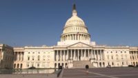 Do Varying Cannabis Laws Adequately Serve Patients, Businesses or Government?